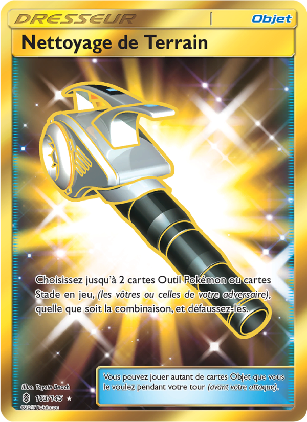Nettoyage de Terrain 163 — Guardians Rising (French Pokémon TCG card)