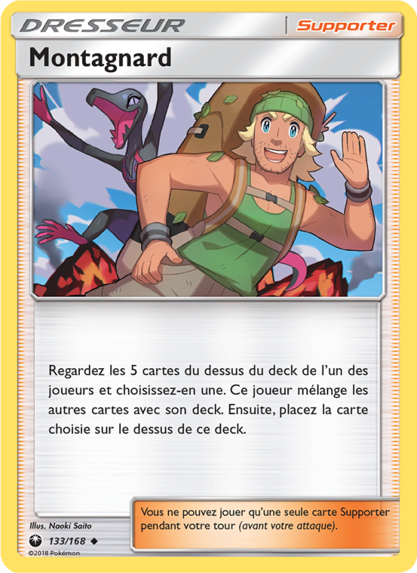 Montagnard 133 — Celestial Storm (French Pokémon TCG card)
