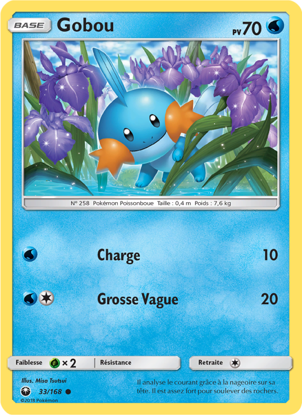 Gobou 33 — Celestial Storm (French Pokémon TCG card)