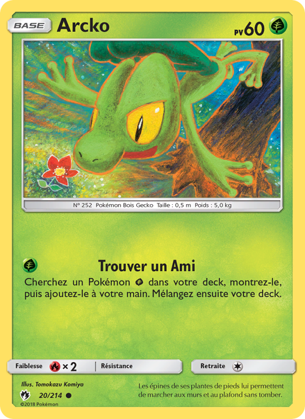 Arcko 20 — Lost Thunder (French Pokémon TCG card)