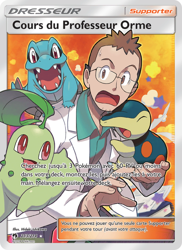 Cours du Professeur Orme 213 — Lost Thunder (French Pokémon TCG card)
