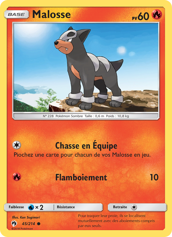 Malosse 45 — Lost Thunder (French Pokémon TCG card)