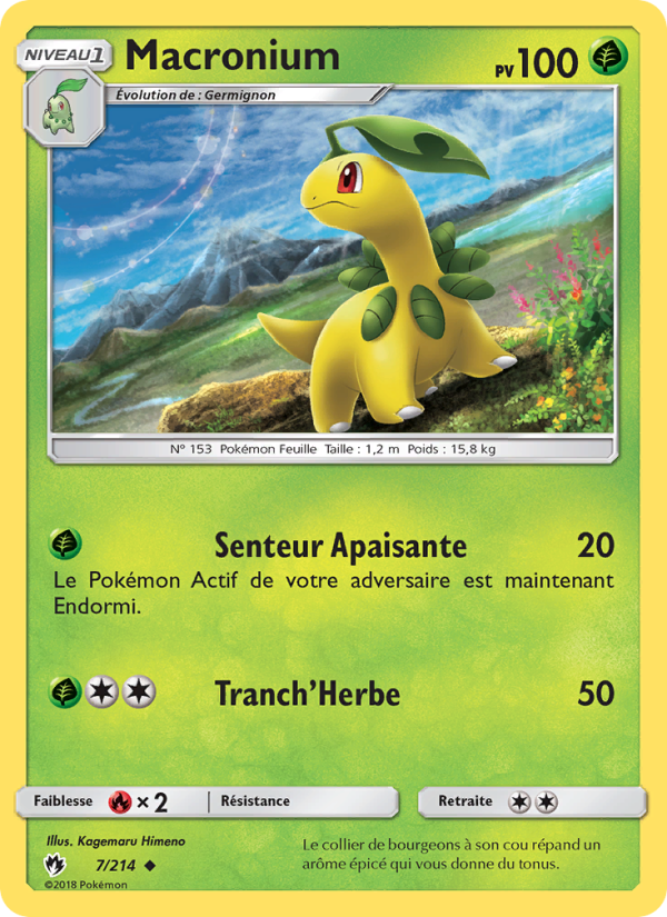 Macronium 7 — Lost Thunder (French Pokémon TCG card)