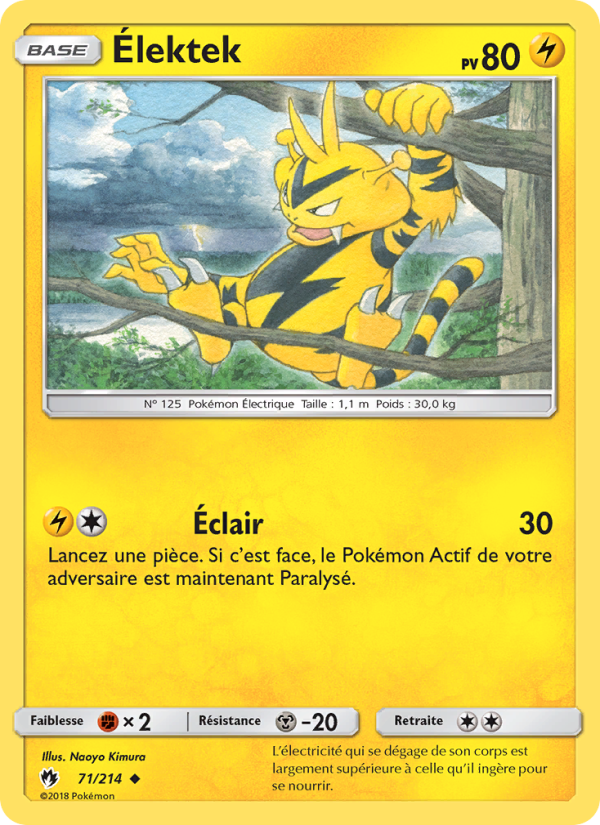 Élektek 71 — Lost Thunder (French Pokémon TCG card)