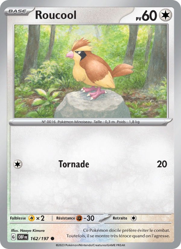 Roucool 162 — Obsidian Flames (French Pokémon TCG card)