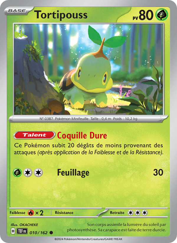 Tortipouss 010 — Temporal Forces (French Pokémon TCG card)