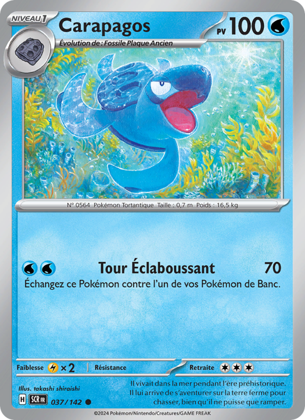 Carapagos 037 — Stellar Crown (French Pokémon TCG card)