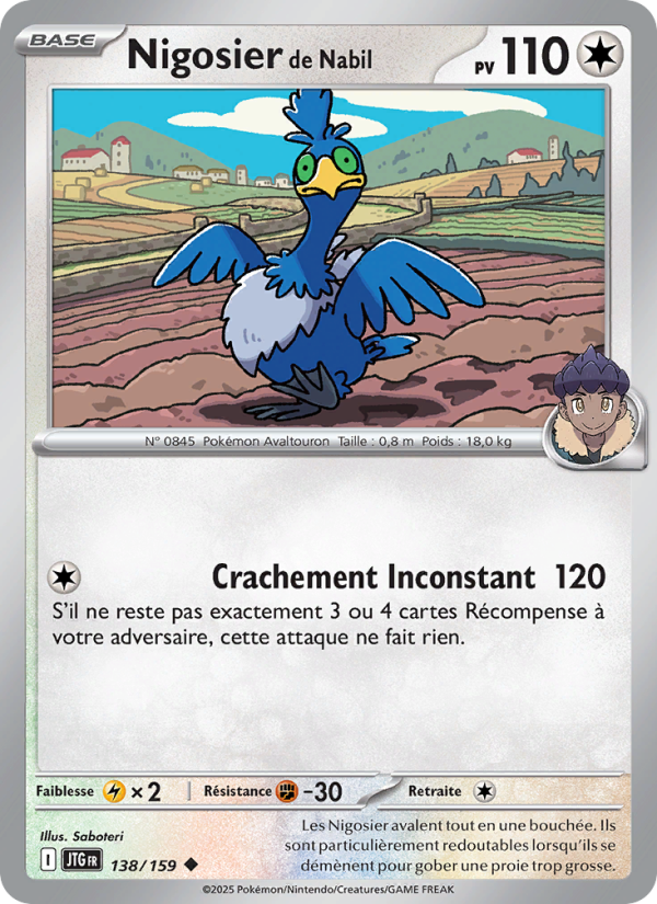Nigosier de Nabil 138 — Journey Together (French Pokémon TCG card)