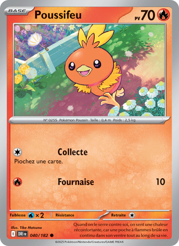 Poussifeu 040 — Destined Rivals (French Pokémon TCG card)