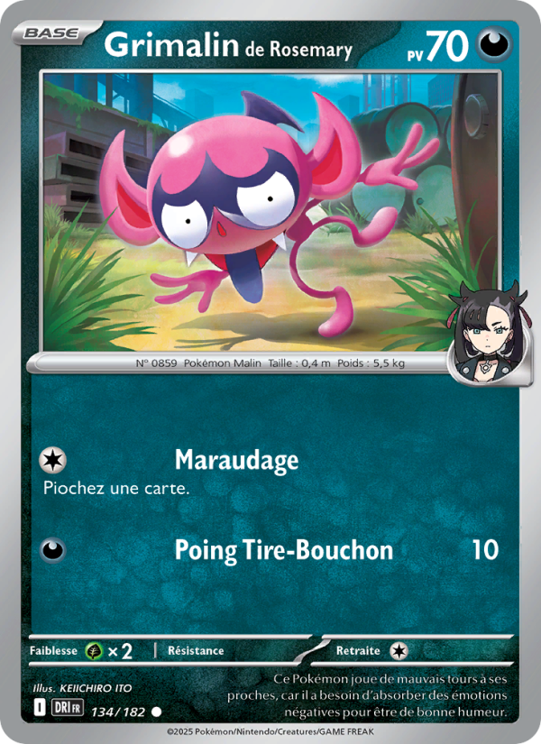 Grimalin de Rosemary 134 — Destined Rivals (French Pokémon TCG card)