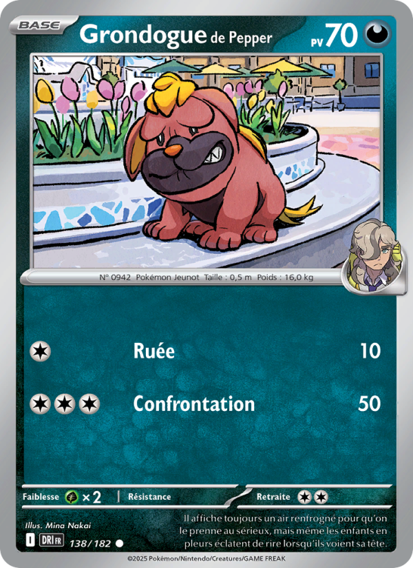 Grondogue de Pepper 138 — Destined Rivals (French Pokémon TCG card)