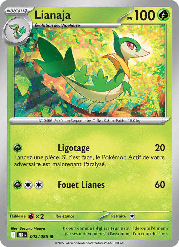 Lianaja 002 — Schwarze Blitze (French Pokémon TCG card)