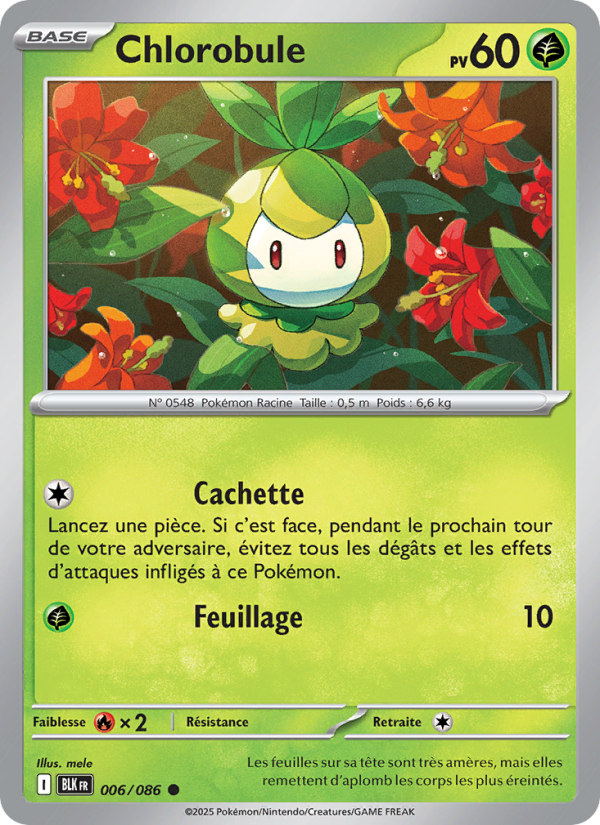 Chlorobule 006 — Schwarze Blitze (French Pokémon TCG card)