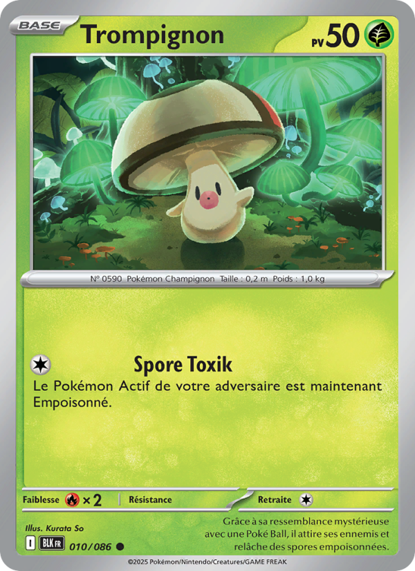 Trompignon 010 — Schwarze Blitze (French Pokémon TCG card)