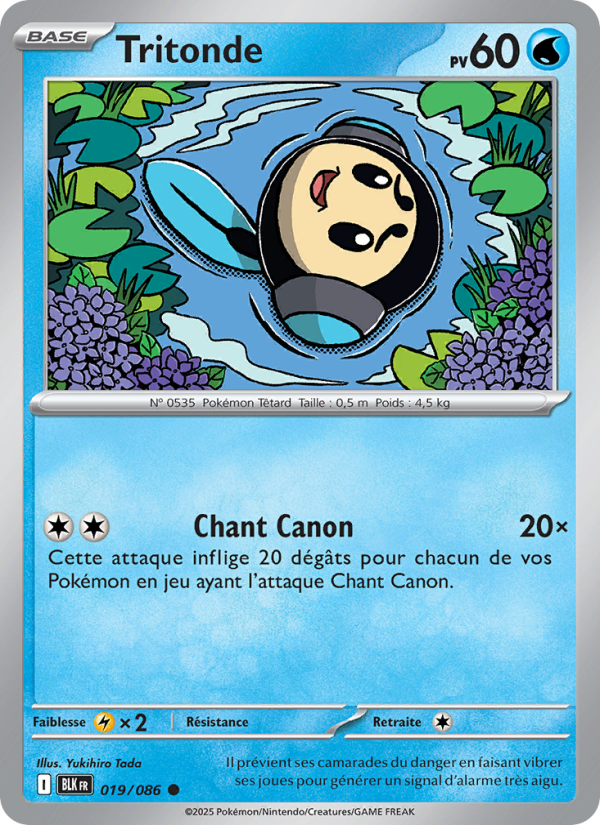 Tritonde 019 — Schwarze Blitze (French Pokémon TCG card)