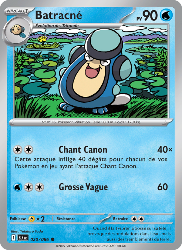 Batracné 020 — Schwarze Blitze (French Pokémon TCG card)
