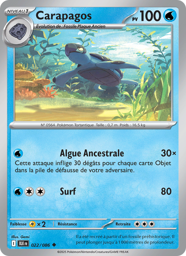 Carapagos 022 — Schwarze Blitze (French Pokémon TCG card)