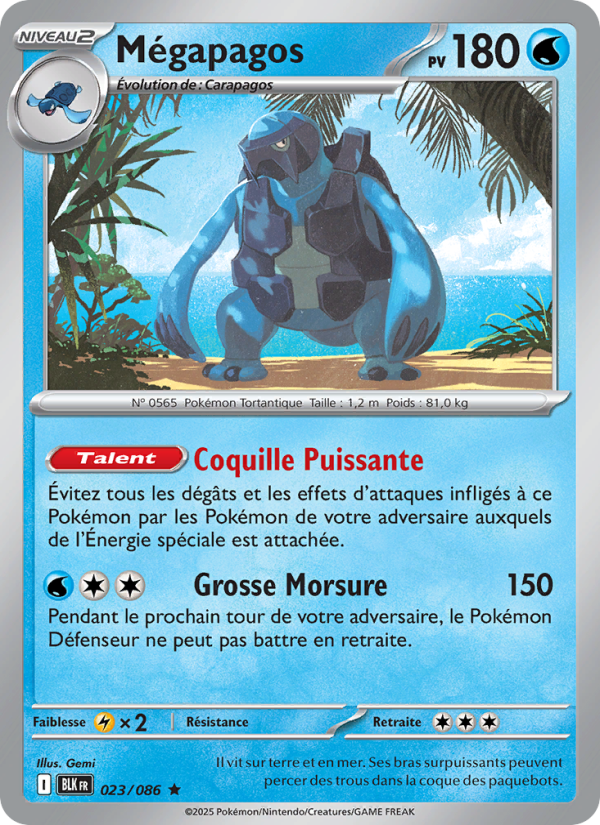 Mégapagos 023 — Schwarze Blitze (French Pokémon TCG card)