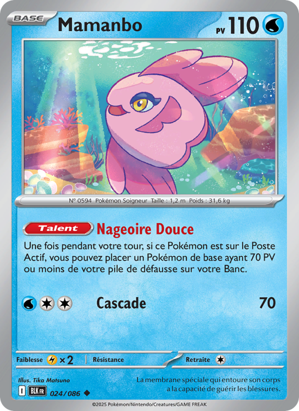 Mamanbo 024 — Schwarze Blitze (French Pokémon TCG card)