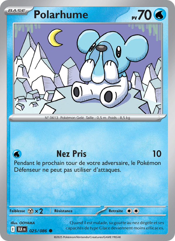 Polarhume 025 — Schwarze Blitze (French Pokémon TCG card)