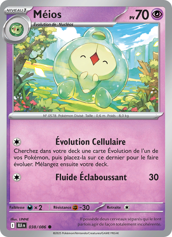 Méios 038 — Schwarze Blitze (French Pokémon TCG card)