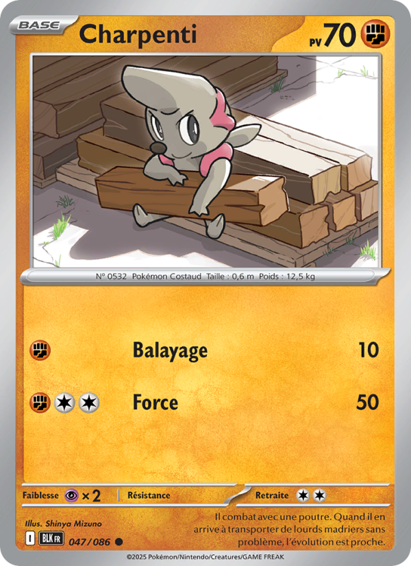 Charpenti 047 — Schwarze Blitze (French Pokémon TCG card)