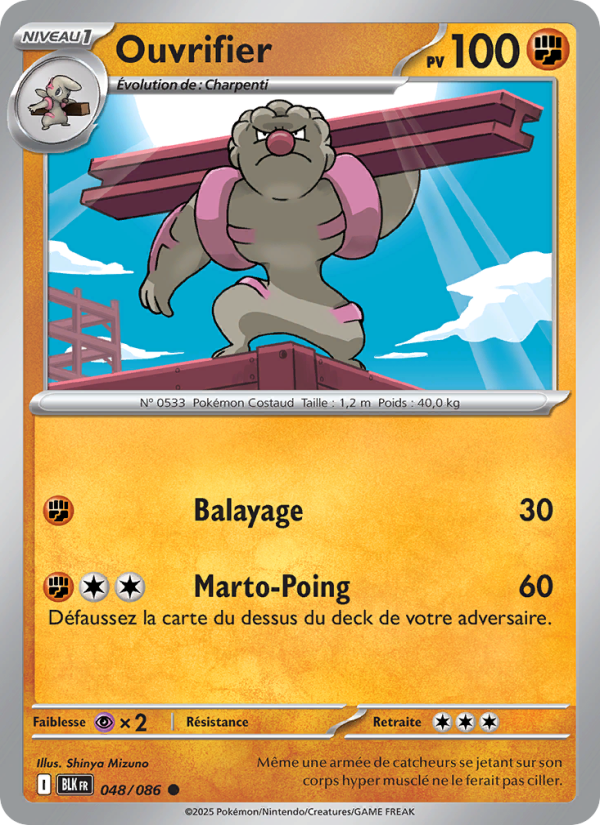 Ouvrifier 048 — Schwarze Blitze (French Pokémon TCG card)