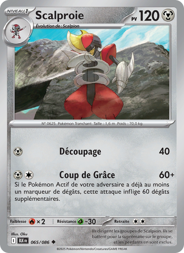 Scalproie 065 — Schwarze Blitze (French Pokémon TCG card)