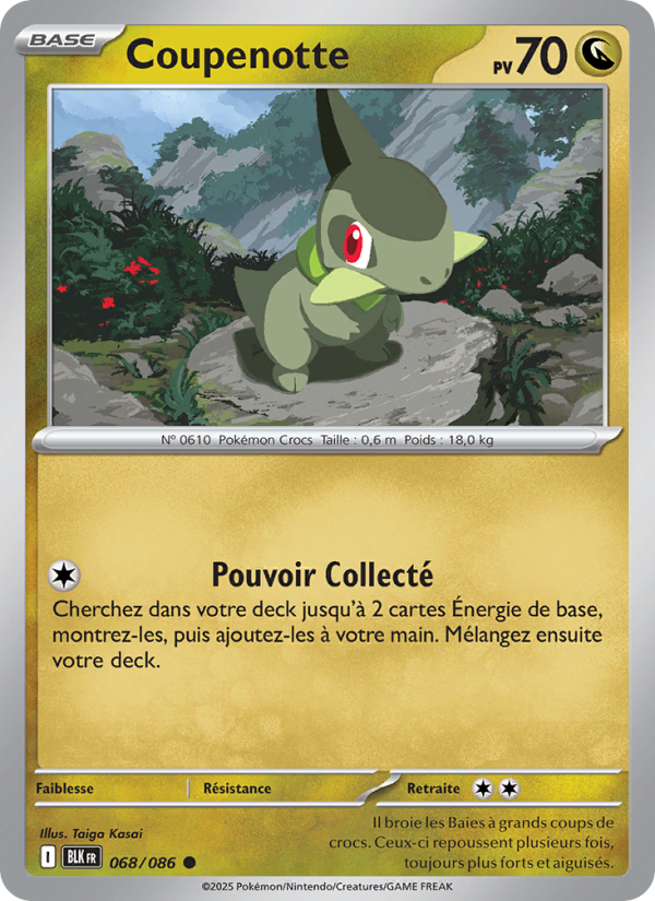 Coupenotte 068 — Schwarze Blitze (French Pokémon TCG card)