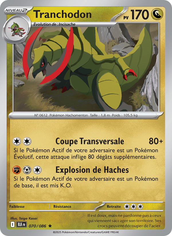 Tranchodon 070 — Schwarze Blitze (French Pokémon TCG card)