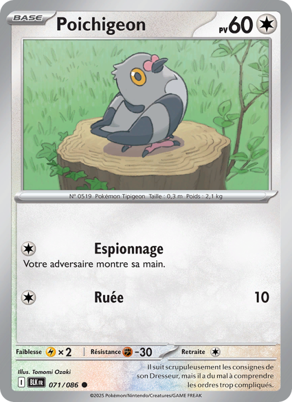 Poichigeon 071 — Schwarze Blitze (French Pokémon TCG card)