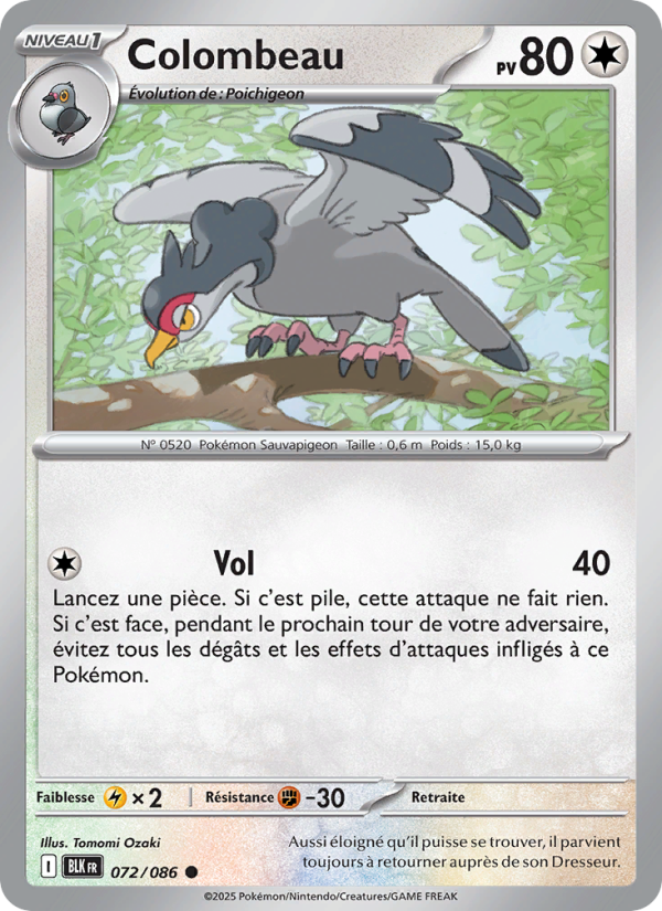 Colombeau 072 — Schwarze Blitze (French Pokémon TCG card)