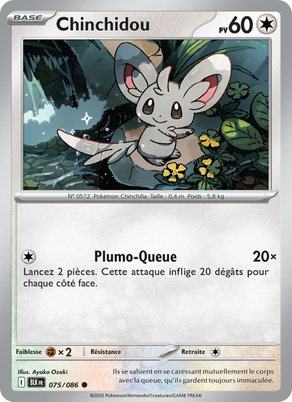 Chinchidou 075 — Schwarze Blitze (French Pokémon TCG card)
