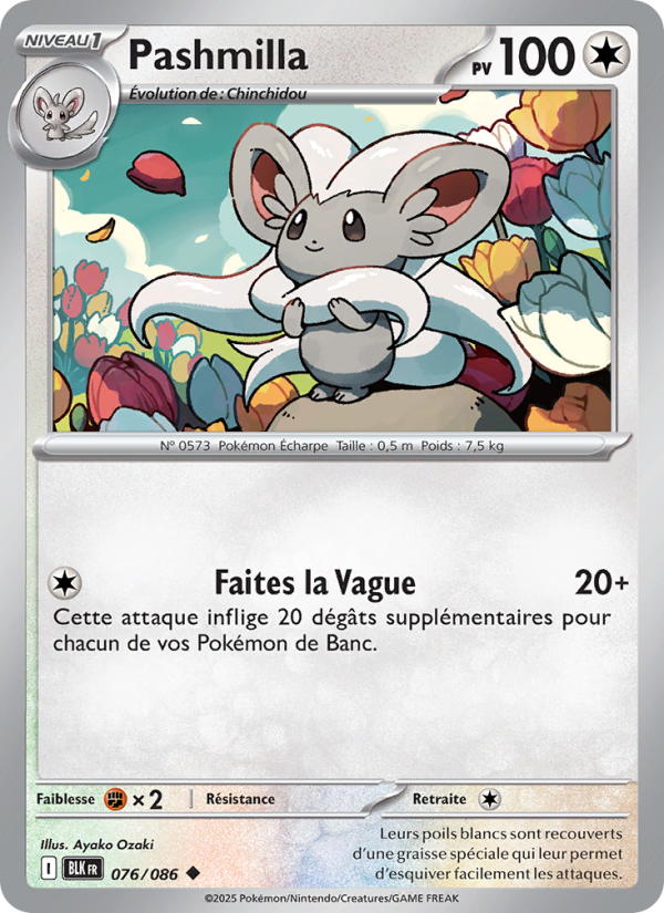 Pashmilla 076 — Schwarze Blitze (French Pokémon TCG card)