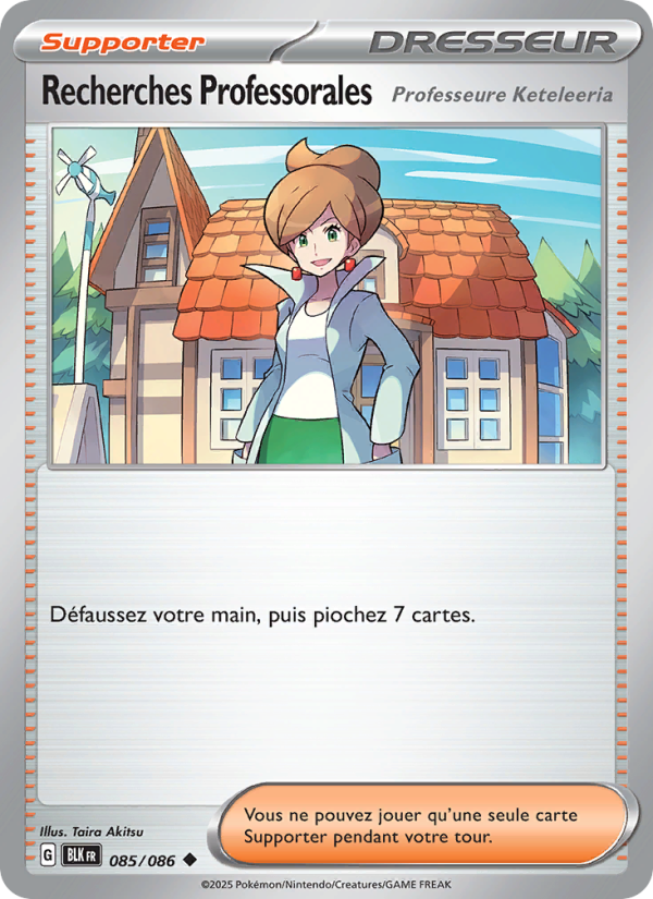 Recherches Professorales 085 — Schwarze Blitze (French Pokémon TCG card)