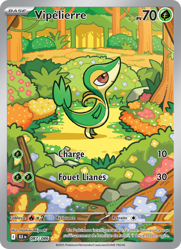 Vipélierre 087 — Schwarze Blitze (French Pokémon TCG card)