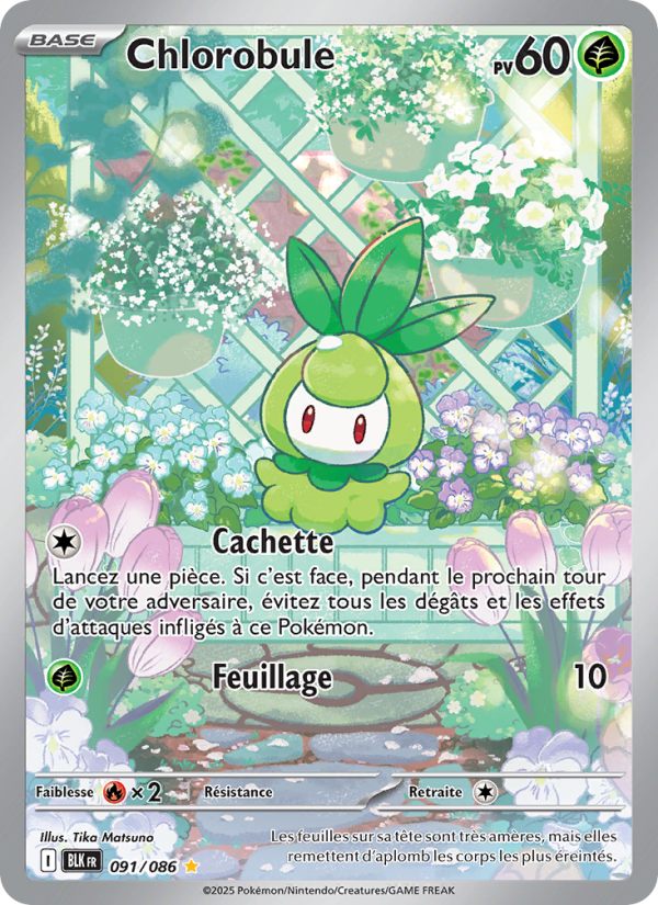 Chlorobule 091 — Schwarze Blitze (French Pokémon TCG card)