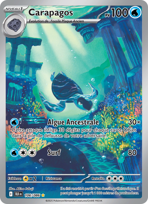 Carapagos 106 — Schwarze Blitze (French Pokémon TCG card)