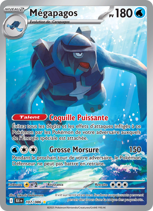 Mégapagos 107 — Schwarze Blitze (French Pokémon TCG card)