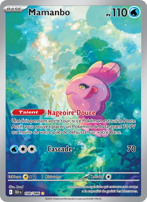 Mamanbo 108 — Schwarze Blitze (French Pokémon TCG card)
