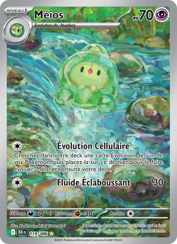 Méios 119 — Schwarze Blitze (French Pokémon TCG card)