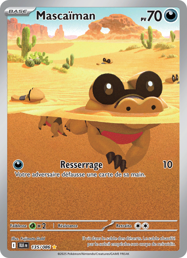 Mascaïman 135 — Schwarze Blitze (French Pokémon TCG card)