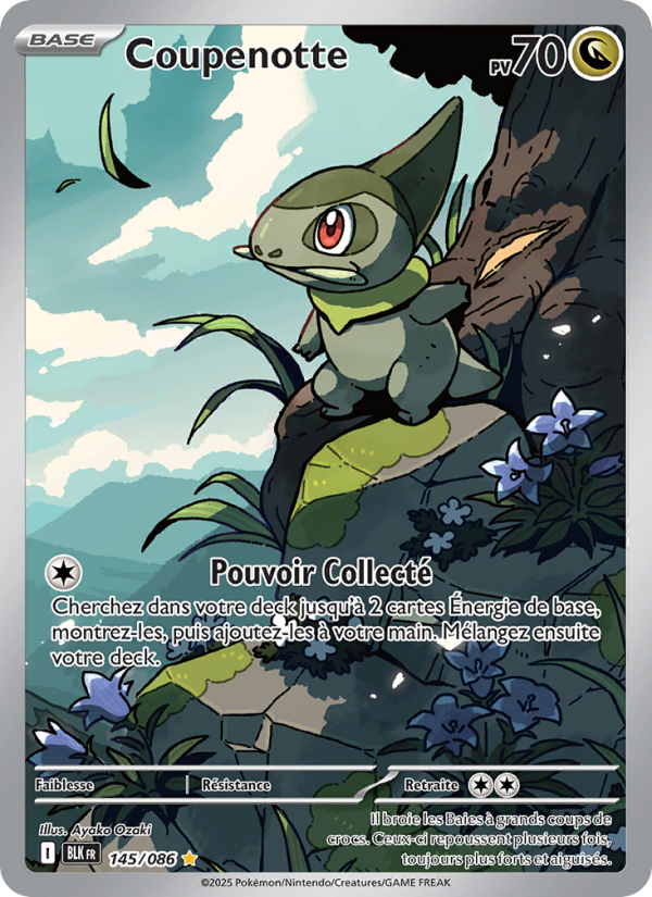 Coupenotte 145 — Schwarze Blitze (French Pokémon TCG card)