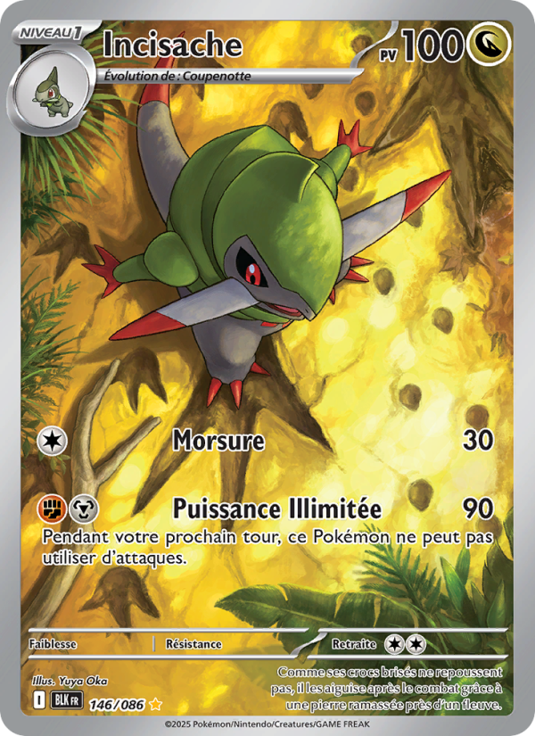 Incisache 146 — Schwarze Blitze (French Pokémon TCG card)