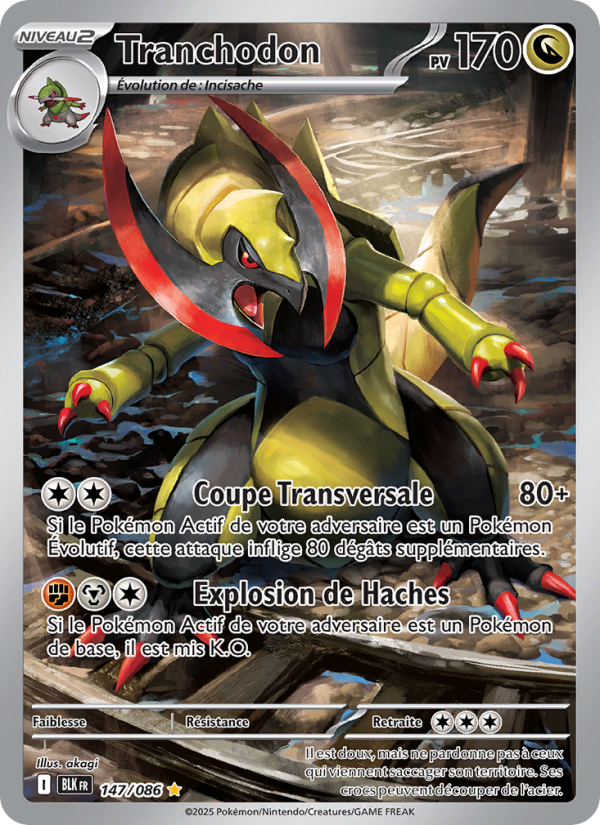 Tranchodon 147 — Schwarze Blitze (French Pokémon TCG card)