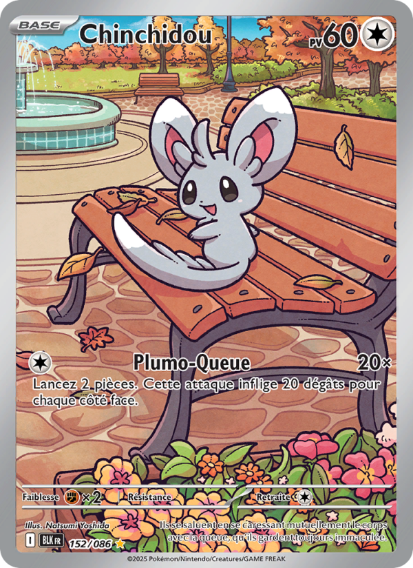 Chinchidou 152 — Schwarze Blitze (French Pokémon TCG card)
