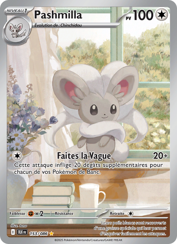 Pashmilla 153 — Schwarze Blitze (French Pokémon TCG card)