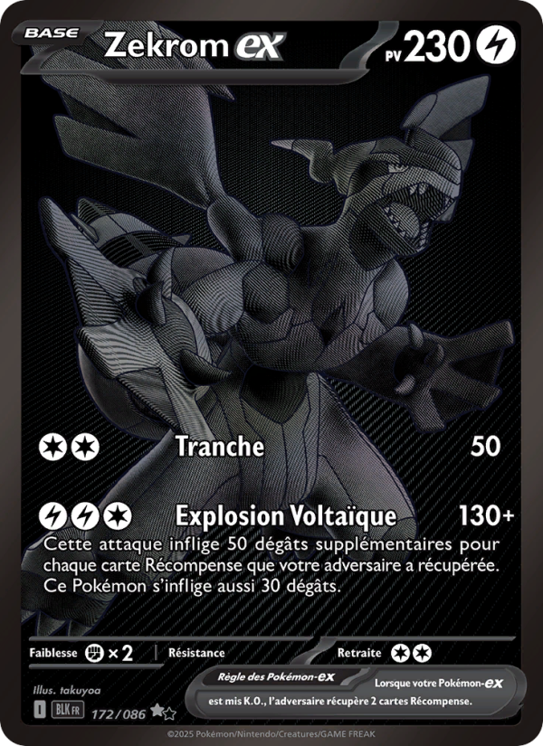 Zekrom-ex 172 — Schwarze Blitze (French Pokémon TCG card)