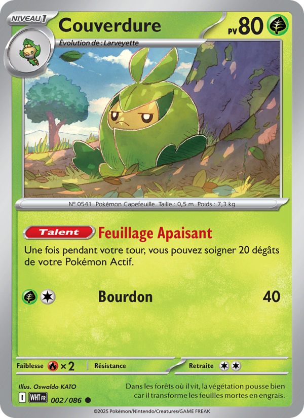 Couverdure 002 — Weiße Flammen (French Pokémon TCG card)