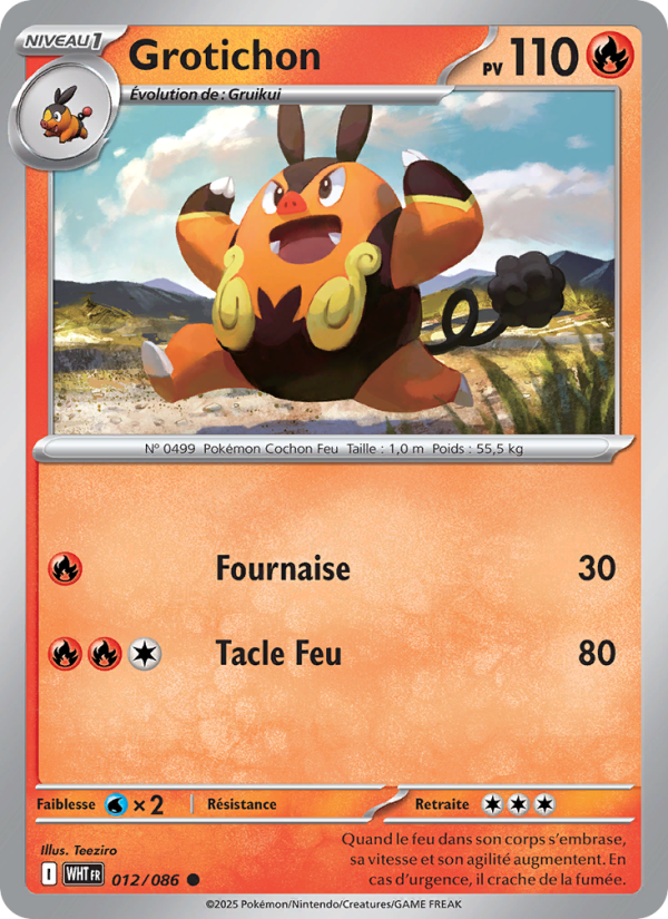 Grotichon 012 — Weiße Flammen (French Pokémon TCG card)